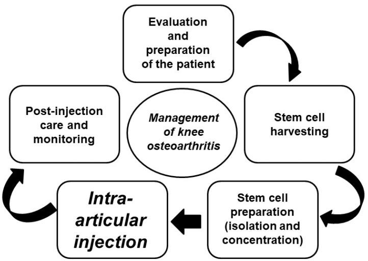 https://cdn.ncbi.nlm.nih.gov/pmc/blobs/f98c/11704397/0d585f3492cb/bt-33-1-86-f4.jpg
