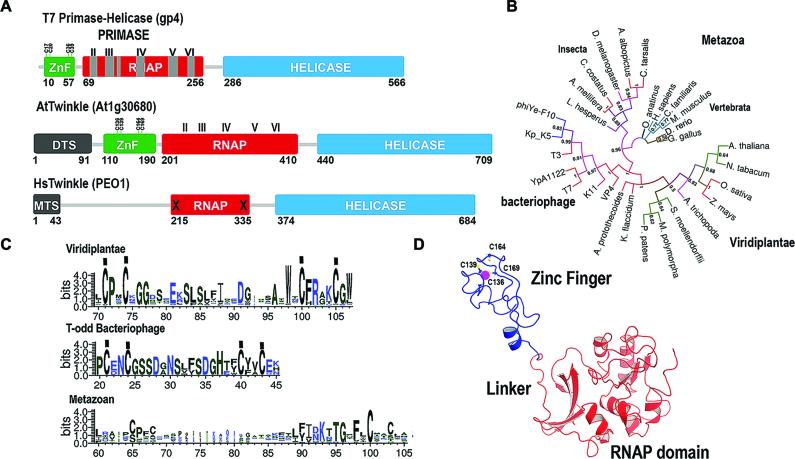 https://cdn.ncbi.nlm.nih.gov/pmc/blobs/f98c/5737085/48c7dce90834/gkx745fig1.jpg