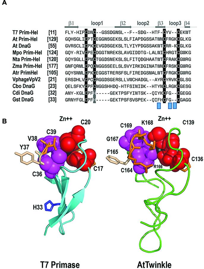 https://cdn.ncbi.nlm.nih.gov/pmc/blobs/f98c/5737085/62556c513742/gkx745fig9.jpg