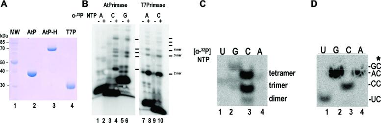 https://cdn.ncbi.nlm.nih.gov/pmc/blobs/f98c/5737085/ec59fe38a749/gkx745fig2.jpg