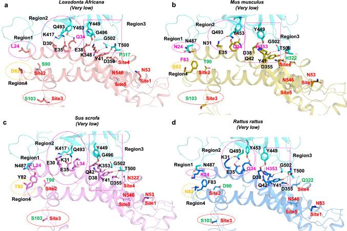 https://cdn.ncbi.nlm.nih.gov/pmc/blobs/f992/7851257/95ffb7010b15/13205_2020_2599_Fig6_HTML.jpg