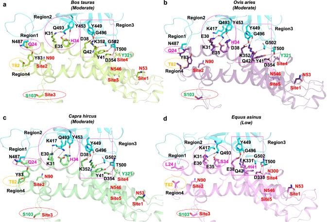 https://cdn.ncbi.nlm.nih.gov/pmc/blobs/f992/7851257/c4009f582d5a/13205_2020_2599_Fig4_HTML.jpg