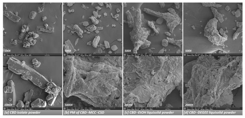 https://cdn.ncbi.nlm.nih.gov/pmc/blobs/f993/9503133/1501ddd13a56/pharmaceutics-14-01787-g003.jpg