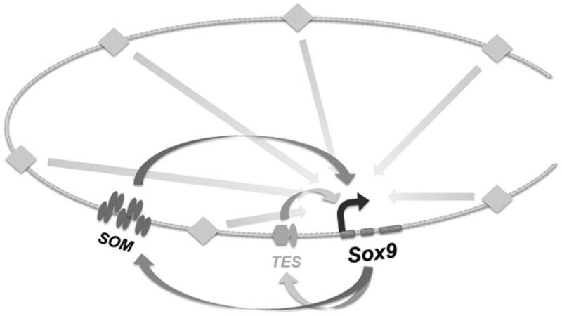 https://cdn.ncbi.nlm.nih.gov/pmc/blobs/f995/3632127/a9e1a55ce1e8/gkt140f8p.jpg