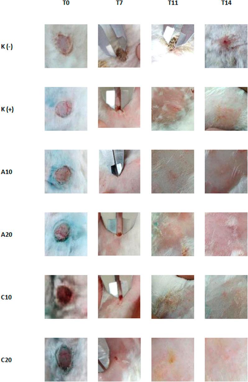https://cdn.ncbi.nlm.nih.gov/pmc/blobs/f998/10043994/bd0023eea4c5/d3ra00868a-f2.jpg