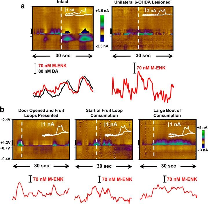 https://cdn.ncbi.nlm.nih.gov/pmc/blobs/f998/6473485/de99037efec8/cn-2018-00351j_0009.jpg