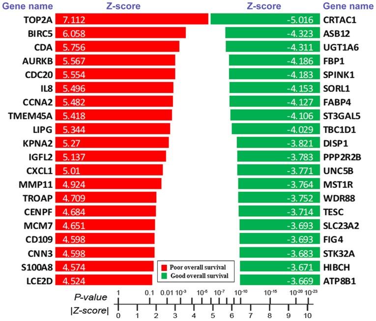 https://cdn.ncbi.nlm.nih.gov/pmc/blobs/f998/6539755/49e6848f2738/ol-18-01-0518-g00.jpg