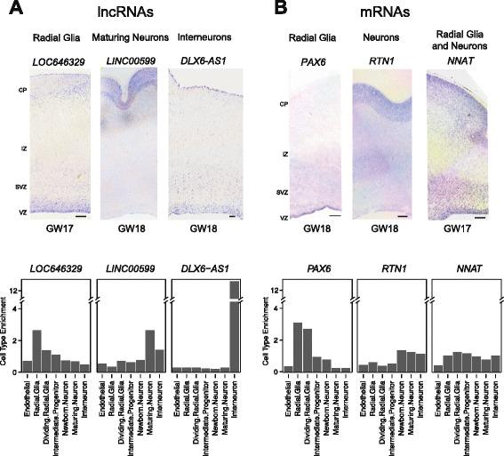 https://cdn.ncbi.nlm.nih.gov/pmc/blobs/f99a/4831157/d2ab6579a5d3/13059_2016_932_Fig5_HTML.jpg