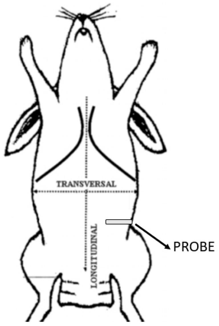 https://cdn.ncbi.nlm.nih.gov/pmc/blobs/f99d/8300137/7c033b57a914/animals-11-01953-g001.jpg
