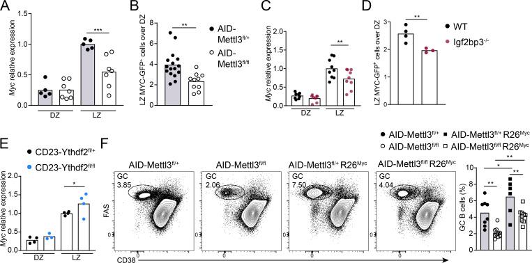 https://cdn.ncbi.nlm.nih.gov/pmc/blobs/f99d/8374864/4c248d79adb3/JEM_20210360_Fig6.jpg