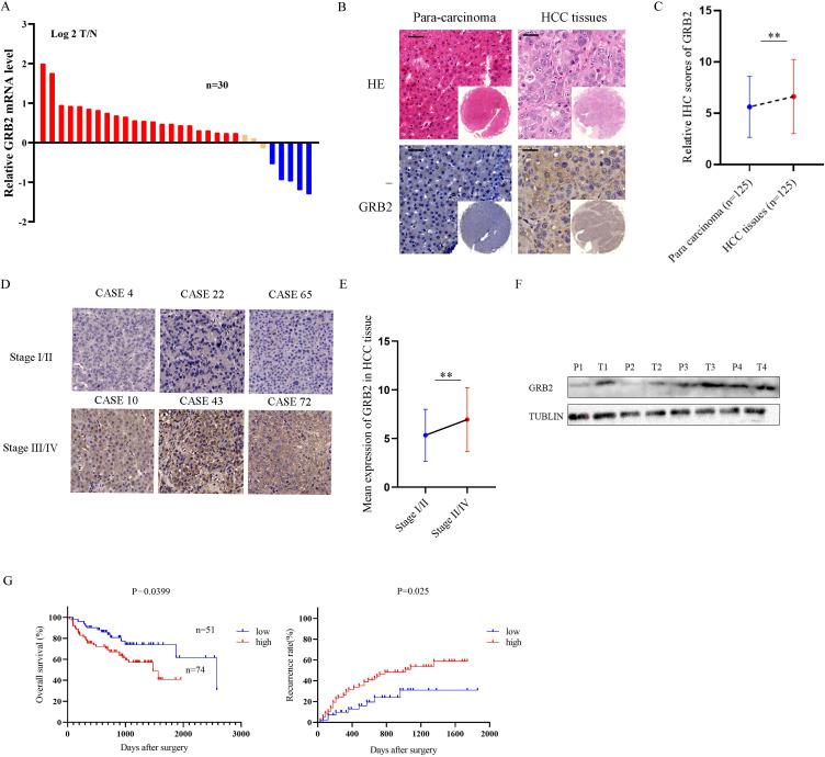 https://cdn.ncbi.nlm.nih.gov/pmc/blobs/f9a2/10216869/4c4da1193e65/JHC-10-765-g0012.jpg