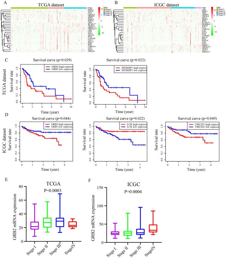 https://cdn.ncbi.nlm.nih.gov/pmc/blobs/f9a2/10216869/9403e17d29d0/JHC-10-765-g0006.jpg