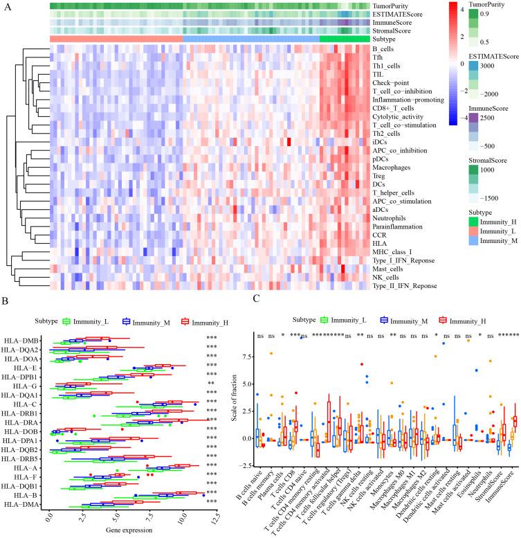 https://cdn.ncbi.nlm.nih.gov/pmc/blobs/f9a2/10216869/9d5b46a76690/JHC-10-765-g0002.jpg