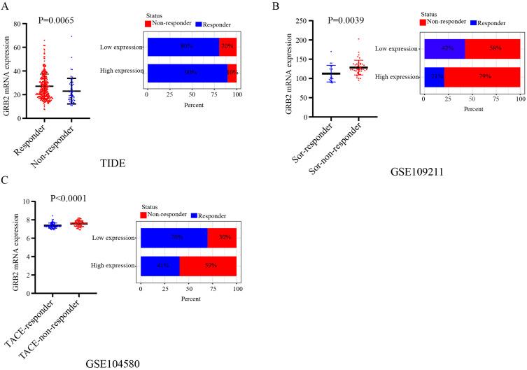 https://cdn.ncbi.nlm.nih.gov/pmc/blobs/f9a2/10216869/a1600798453e/JHC-10-765-g0010.jpg