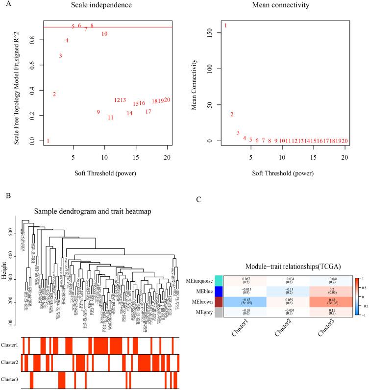 https://cdn.ncbi.nlm.nih.gov/pmc/blobs/f9a2/10216869/c1b6216555bd/JHC-10-765-g0003.jpg