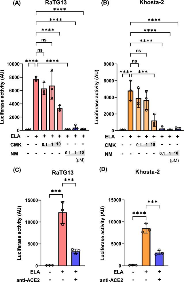 https://cdn.ncbi.nlm.nih.gov/pmc/blobs/f9a2/12279935/e5d70cc773c5/41598_2025_11600_Fig6_HTML.jpg