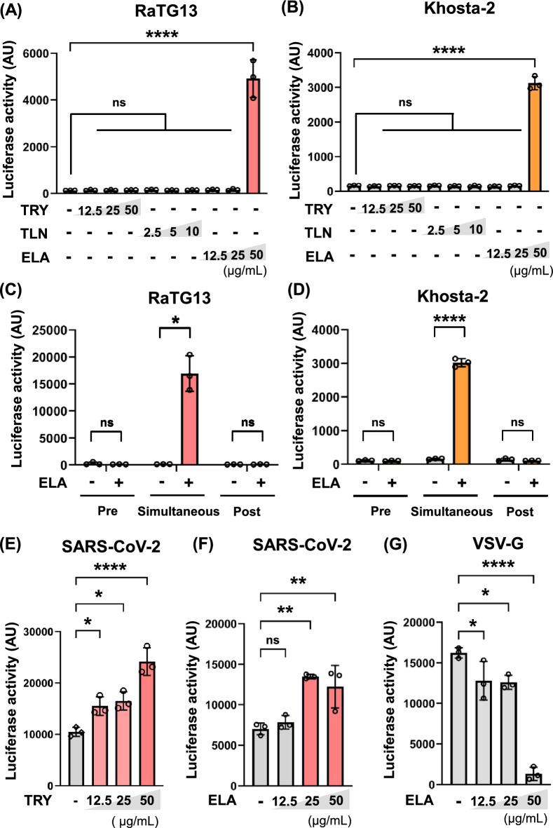 https://cdn.ncbi.nlm.nih.gov/pmc/blobs/f9a2/12279935/f6007316df89/41598_2025_11600_Fig1_HTML.jpg