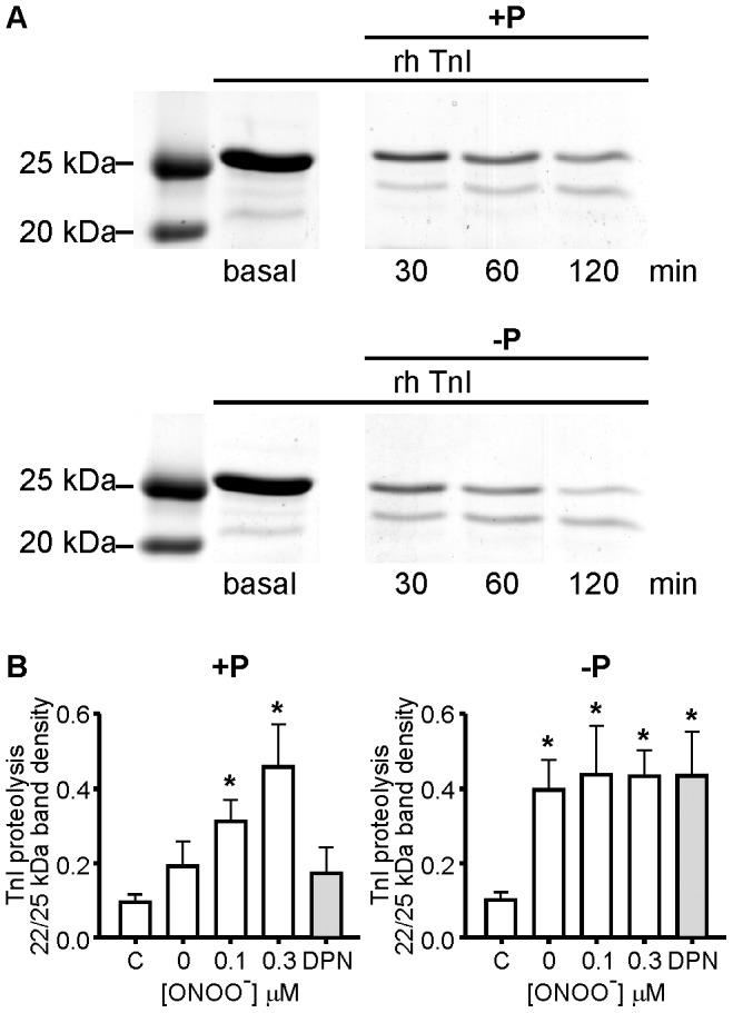 https://cdn.ncbi.nlm.nih.gov/pmc/blobs/f9a3/3754950/9d90bf92ebff/pone.0071794.g005.jpg