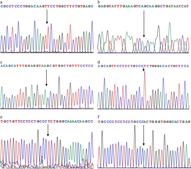 https://cdn.ncbi.nlm.nih.gov/pmc/blobs/f9a7/9276056/1d815027bdff/KBIE_A_2069940_F0005_OC.jpg