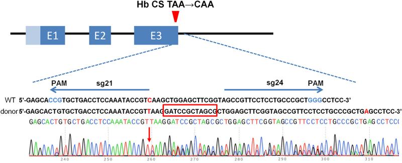 https://cdn.ncbi.nlm.nih.gov/pmc/blobs/f9a7/9276056/2d85d503e860/KBIE_A_2069940_F0004_OC.jpg