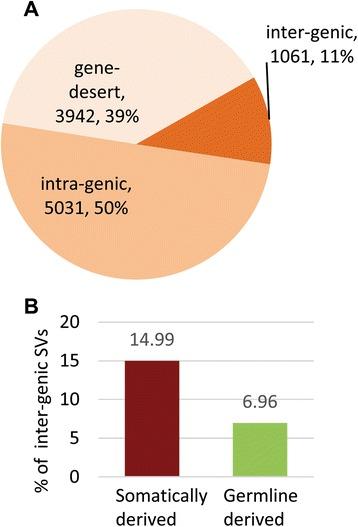 https://cdn.ncbi.nlm.nih.gov/pmc/blobs/f9a8/4504069/0f064ef0c740/12920_2015_118_Fig4_HTML.jpg