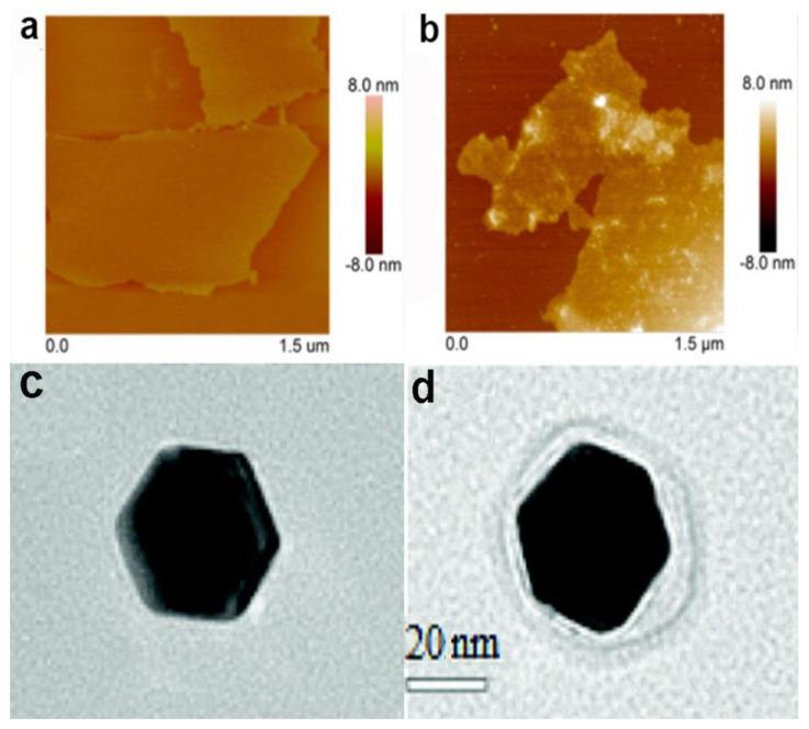 https://cdn.ncbi.nlm.nih.gov/pmc/blobs/f9a8/7412248/463f9ef51ab9/materials-13-03093-g003.jpg