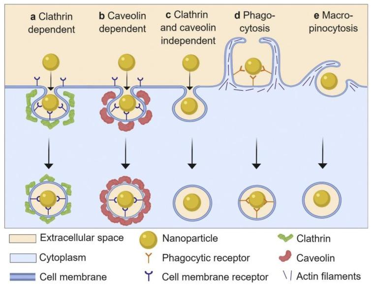 https://cdn.ncbi.nlm.nih.gov/pmc/blobs/f9a8/7412248/5ba39092fb5d/materials-13-03093-g008.jpg