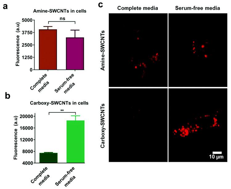 https://cdn.ncbi.nlm.nih.gov/pmc/blobs/f9a8/7412248/68a2036747aa/materials-13-03093-g010.jpg