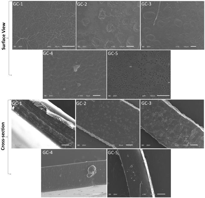 https://cdn.ncbi.nlm.nih.gov/pmc/blobs/f9a9/9572812/92fe8e0f5a47/polymers-14-04065-g001.jpg