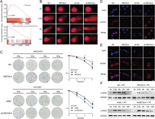 https://cdn.ncbi.nlm.nih.gov/pmc/blobs/f9aa/11040365/4a78cec53d88/ADVS-11-2308009-g004.jpg