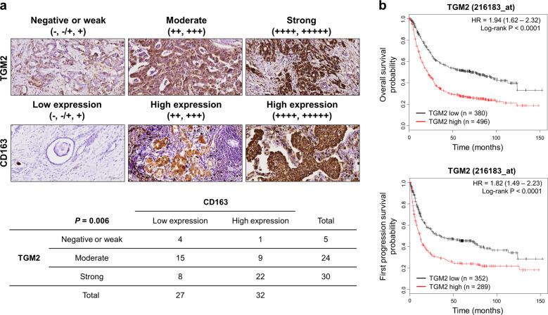 https://cdn.ncbi.nlm.nih.gov/pmc/blobs/f9aa/7272405/4bad1381365b/12276_2020_444_Fig6_HTML.jpg