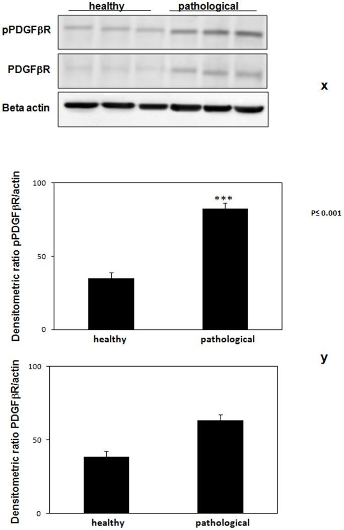 https://cdn.ncbi.nlm.nih.gov/pmc/blobs/f9ab/3933332/10a0c3c725e0/pone.0088860.g004.jpg
