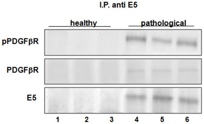 https://cdn.ncbi.nlm.nih.gov/pmc/blobs/f9ab/3933332/9ade05fd5ad5/pone.0088860.g006.jpg