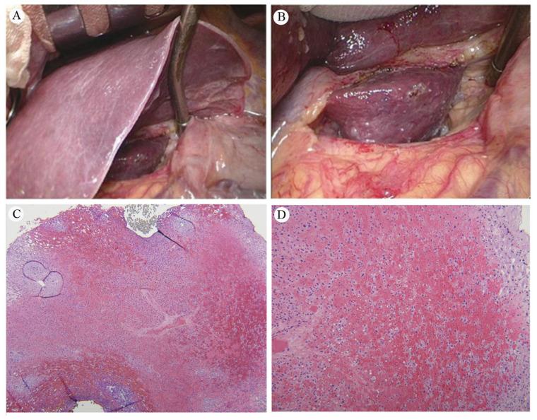 https://cdn.ncbi.nlm.nih.gov/pmc/blobs/f9ac/10931232/55b9b11e4c05/cancers-16-00948-g006.jpg