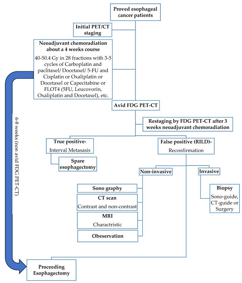 https://cdn.ncbi.nlm.nih.gov/pmc/blobs/f9ac/10931232/7f015b2678e7/cancers-16-00948-g001.jpg