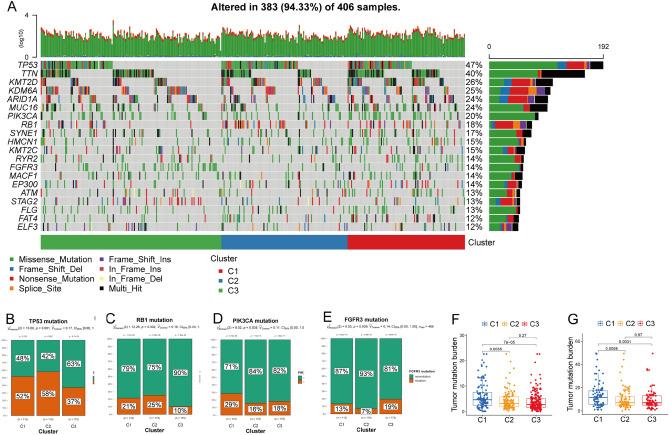 https://cdn.ncbi.nlm.nih.gov/pmc/blobs/f9ad/10638294/2a60ec40d4e1/41598_2023_44028_Fig6_HTML.jpg