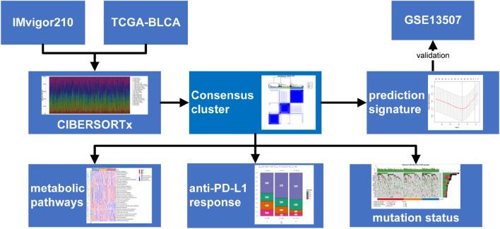 https://cdn.ncbi.nlm.nih.gov/pmc/blobs/f9ad/10638294/bcd3c63aca15/41598_2023_44028_Fig1_HTML.jpg