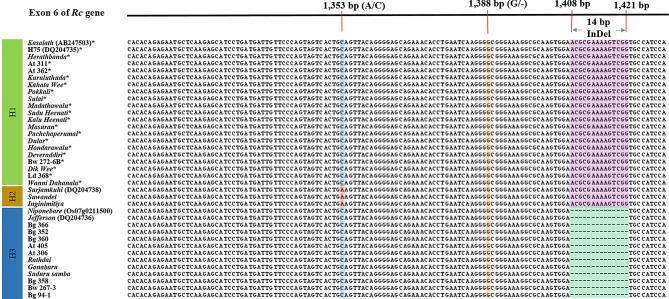 https://cdn.ncbi.nlm.nih.gov/pmc/blobs/f9ad/11438363/8e4d9dc3032b/12870_2024_5623_Fig5_HTML.jpg