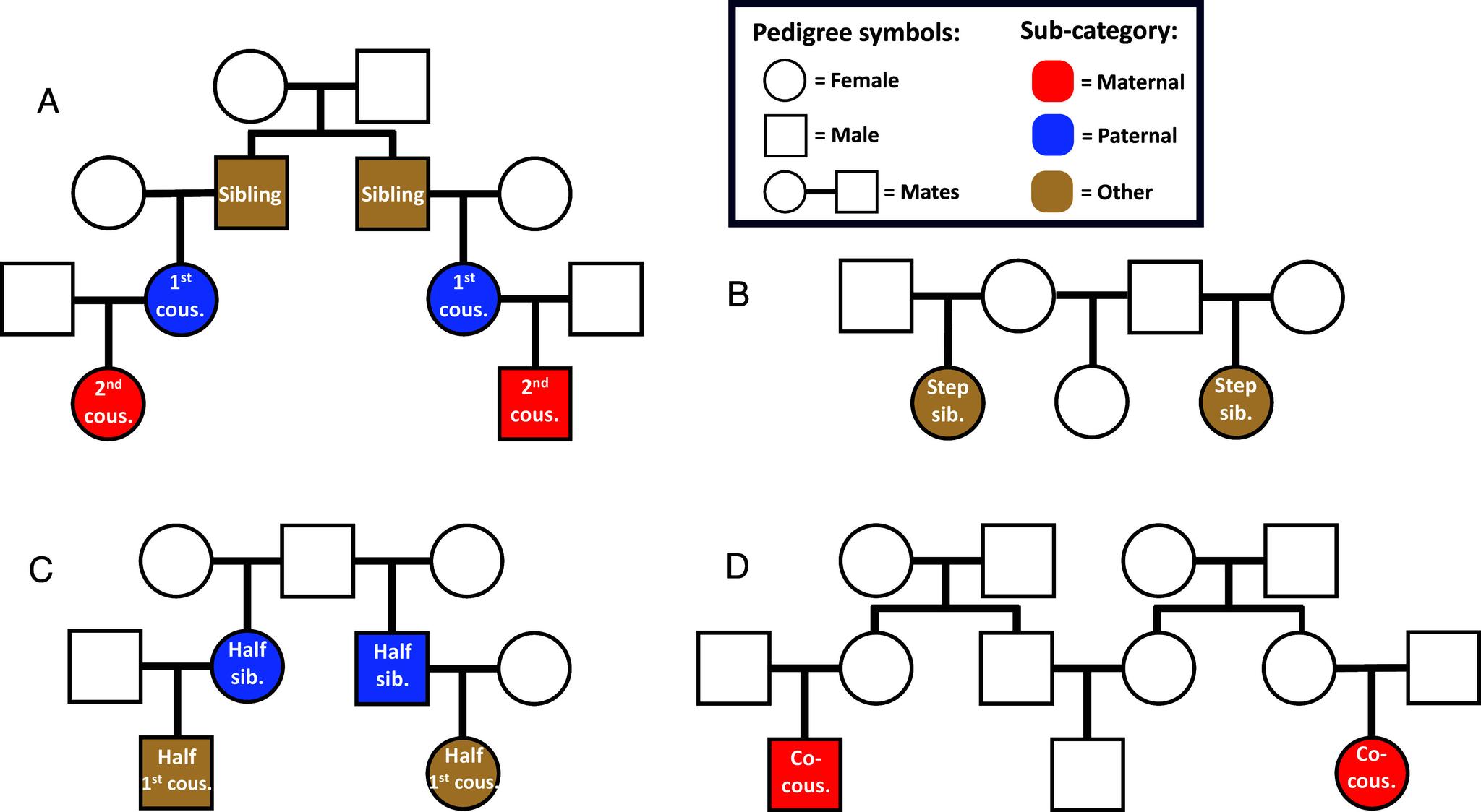 https://cdn.ncbi.nlm.nih.gov/pmc/blobs/f9ad/12207517/6efda8a70631/pnas.2419627122fig01.jpg