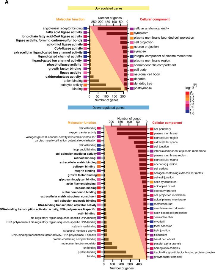 https://cdn.ncbi.nlm.nih.gov/pmc/blobs/f9ad/8820733/c31d75297144/elife-72195-fig4-figsupp1.jpg