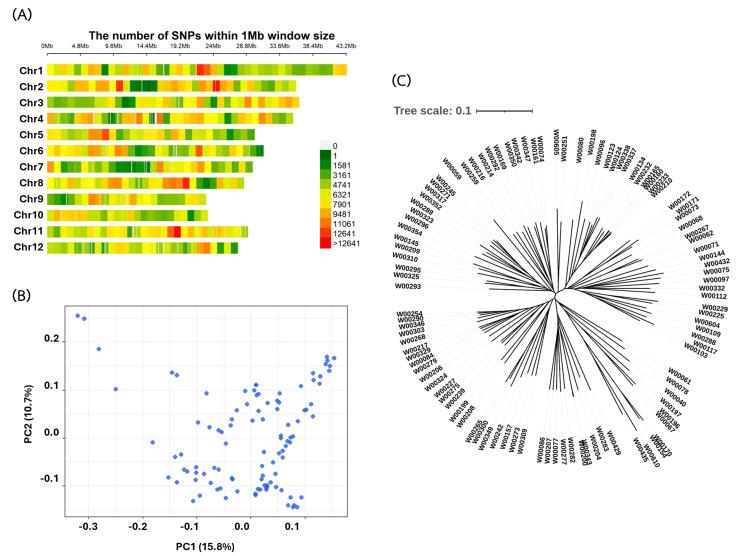 https://cdn.ncbi.nlm.nih.gov/pmc/blobs/f9af/11314294/3506677286b5/plants-13-02112-g003.jpg