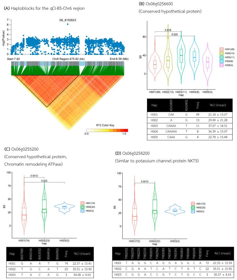 https://cdn.ncbi.nlm.nih.gov/pmc/blobs/f9af/11314294/50866fef8bb9/plants-13-02112-g006.jpg