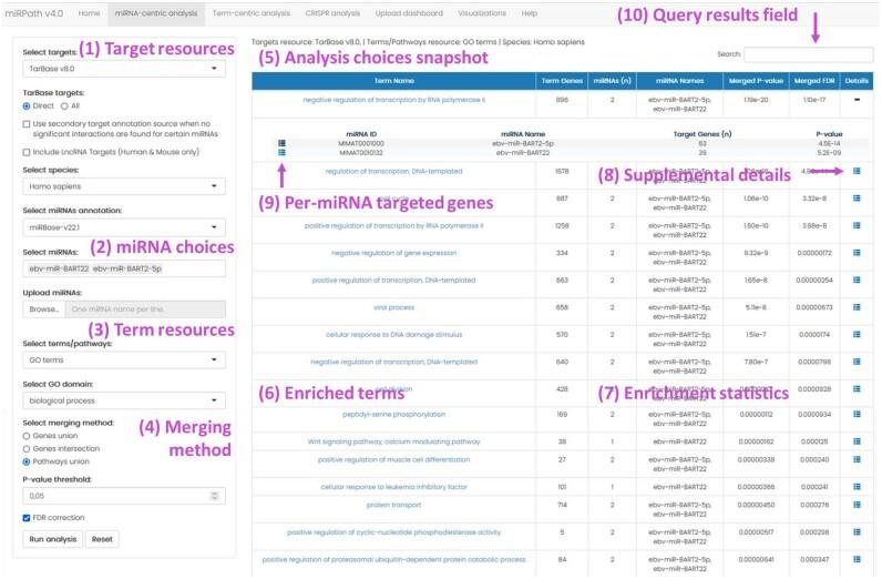 https://cdn.ncbi.nlm.nih.gov/pmc/blobs/f9b0/10320185/b2845d709f7c/gkad431fig2.jpg