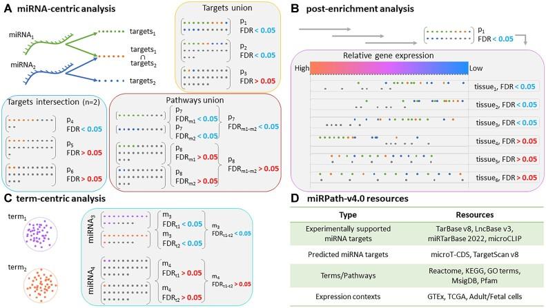 https://cdn.ncbi.nlm.nih.gov/pmc/blobs/f9b0/10320185/dbc8441c0682/gkad431fig1.jpg
