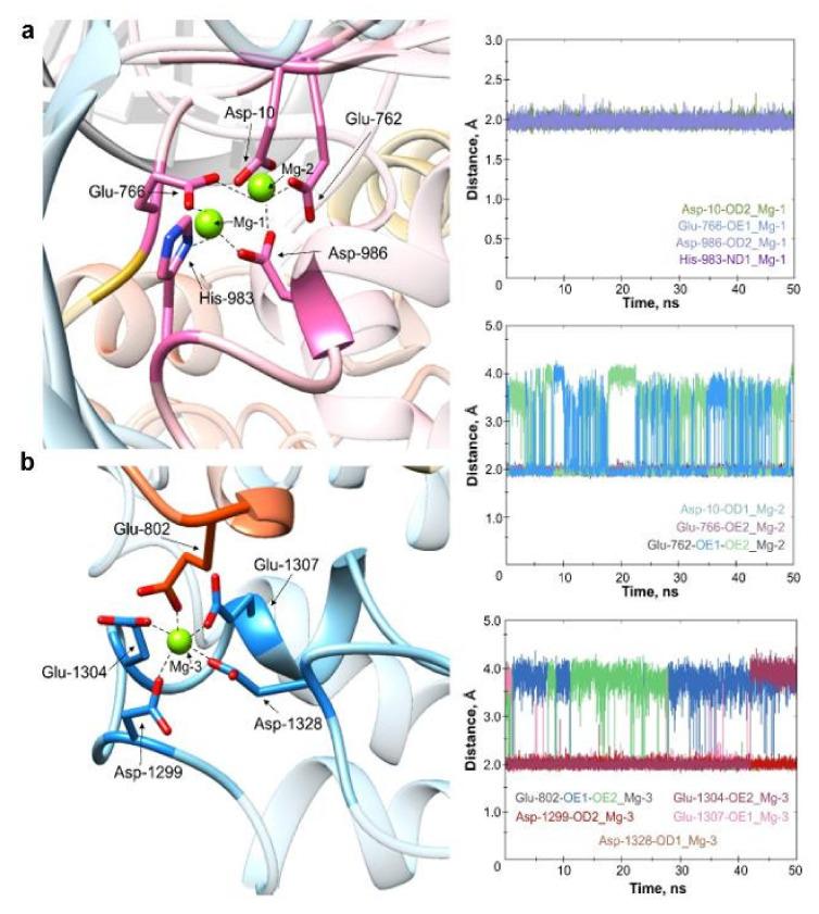https://cdn.ncbi.nlm.nih.gov/pmc/blobs/f9b1/8834707/452efaeff7b2/ijms-23-01129-g003.jpg