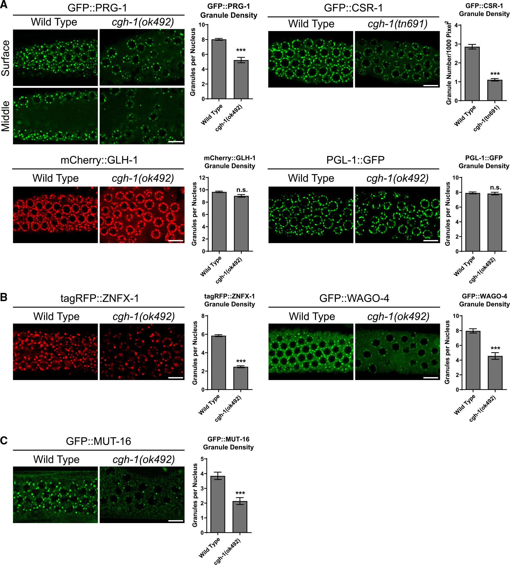 https://cdn.ncbi.nlm.nih.gov/pmc/blobs/f9b3/10540246/095f922d83b4/nihms-1928241-f0004.jpg