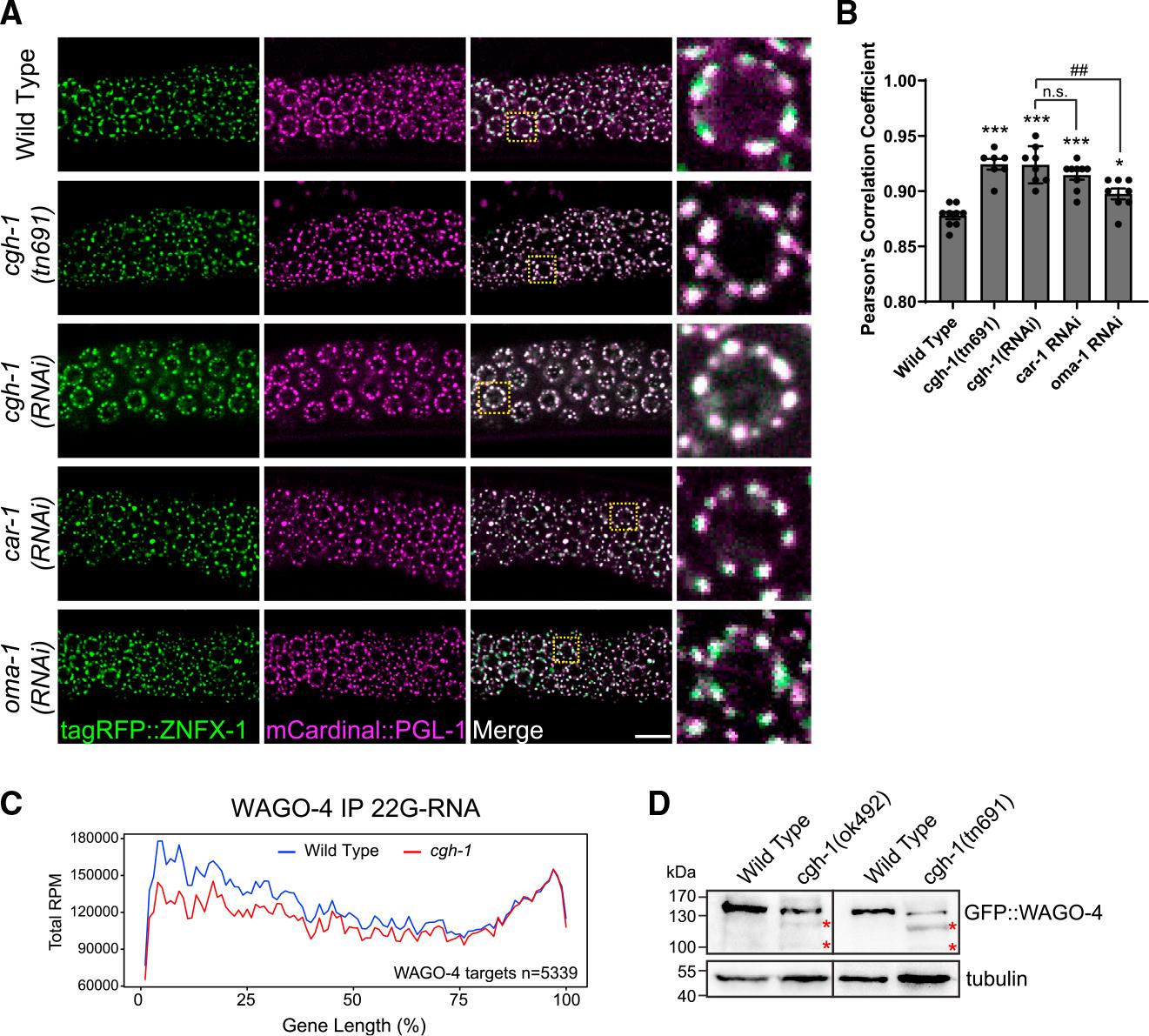 https://cdn.ncbi.nlm.nih.gov/pmc/blobs/f9b3/10540246/84cfe4e75cf7/nihms-1928241-f0007.jpg