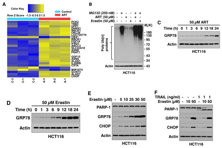 https://cdn.ncbi.nlm.nih.gov/pmc/blobs/f9b3/5777762/1df4be54cc29/oncotarget-08-115164-g004.jpg