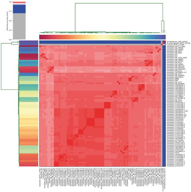 https://cdn.ncbi.nlm.nih.gov/pmc/blobs/f9b3/7767855/0445f2bc8ba5/fmicb-11-617685-g0001.jpg