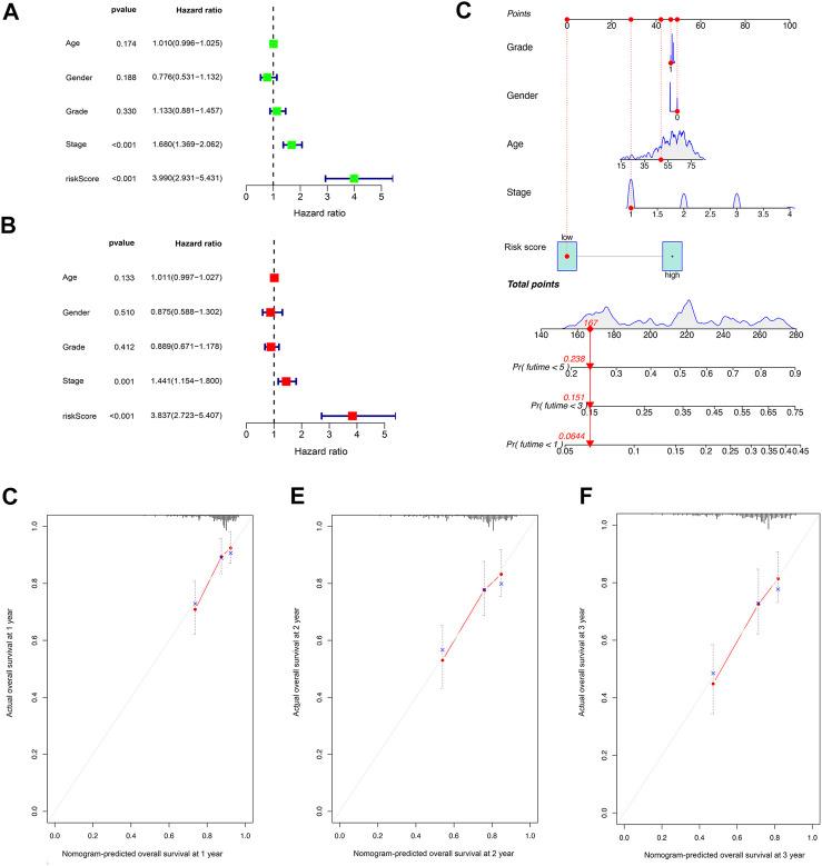 https://cdn.ncbi.nlm.nih.gov/pmc/blobs/f9b6/9195296/03fcc2417123/fcell-10-779269-g004.jpg